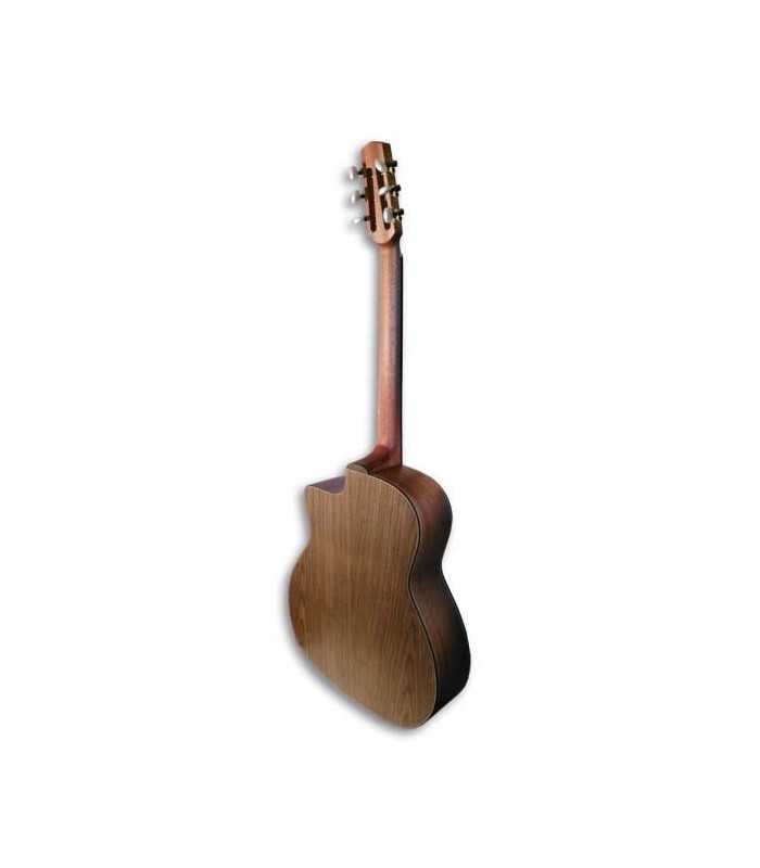 Back of guitar APC JMD200WLN