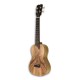 Photo of ukulele concerto APC CMX