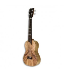 Photo of ukulele concerto APC CMX