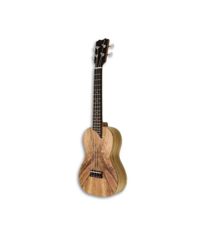 Photo of ukulele concerto APC CMX