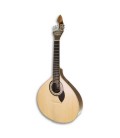 APC Portuguese Guitar 307CB OP Spruce Mahogany Coimbra Model