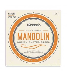 Info of strings D'Addario EJ67 for mandolin