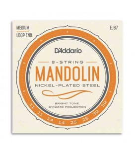 String Set  DAddario EJ67 Mandolin