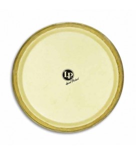 LP Conga Head LP274B 11 3/4