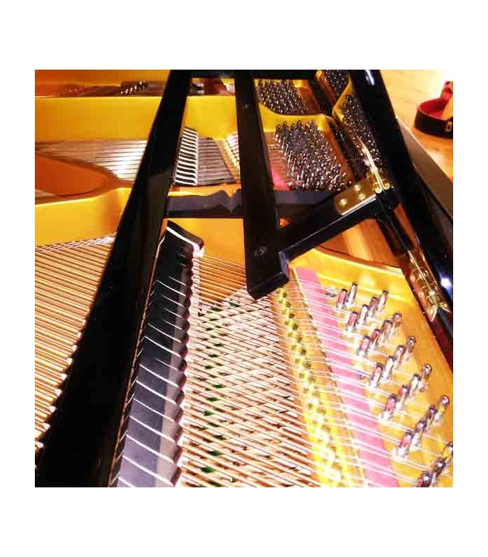 Grand Piano Pearl River GP150 PE 3/4 photo