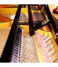 Grand Piano Pearl River GP150 PE 3/4 photo