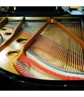 Grand Piano Pearl River GP170 PE 3/4 photo