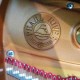 Grand Piano Pearl River GP170 PE 3/4 photo