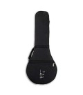 Mandolin Case APC EMDL