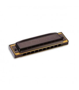 Photo of harmonica Hohner Pro Harp 