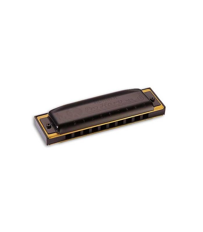 Photo of harmonica Hohner Pro Harp in G