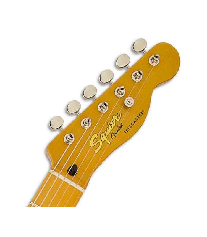 Squier Classic Vibe Telecaster 50S Butterscotch | Electric