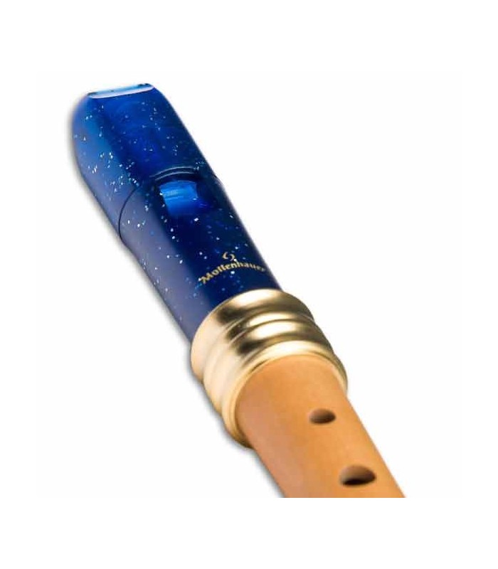 Photo of the head of recorder Mollenhauer 1119B