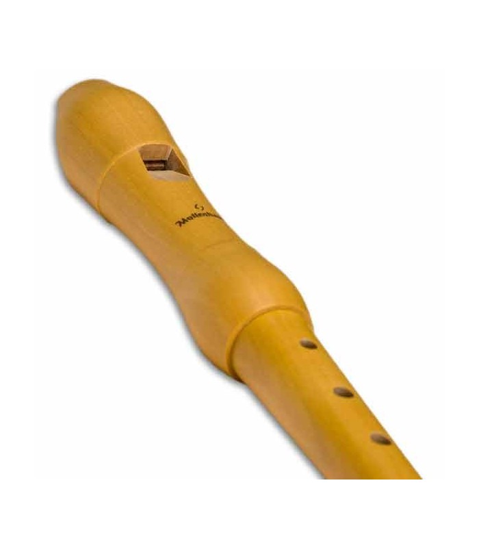 Head of soprano recorder Mollenhauer 1003