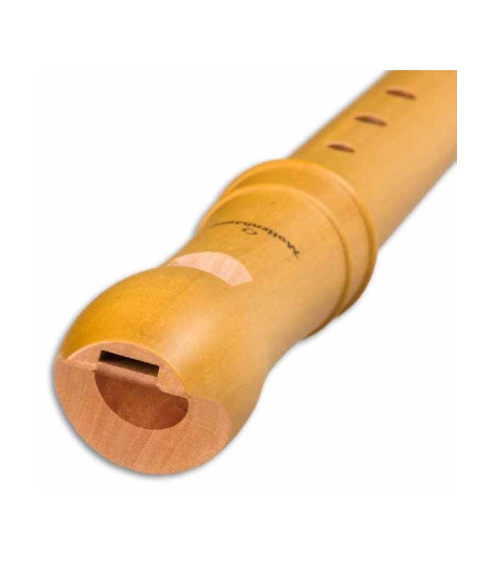 Head of recorder Mollenhauer 2156