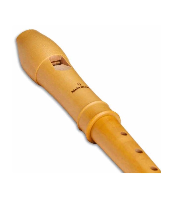 Junction of the head and body of the Mollenhauer 2156 flute