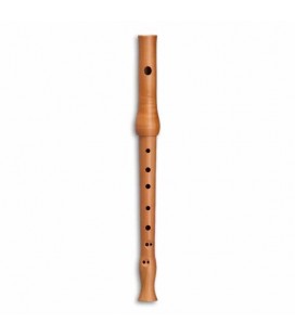 Photo of recorder Mollenhauer 8105 Picco