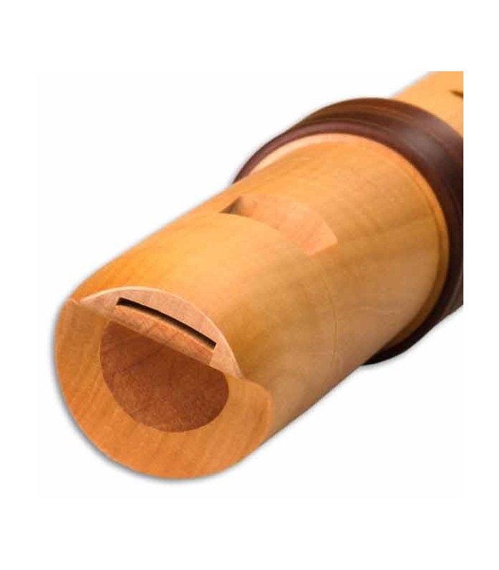 Mollenhauer Alto Recorder DREAM 4317 Baroque