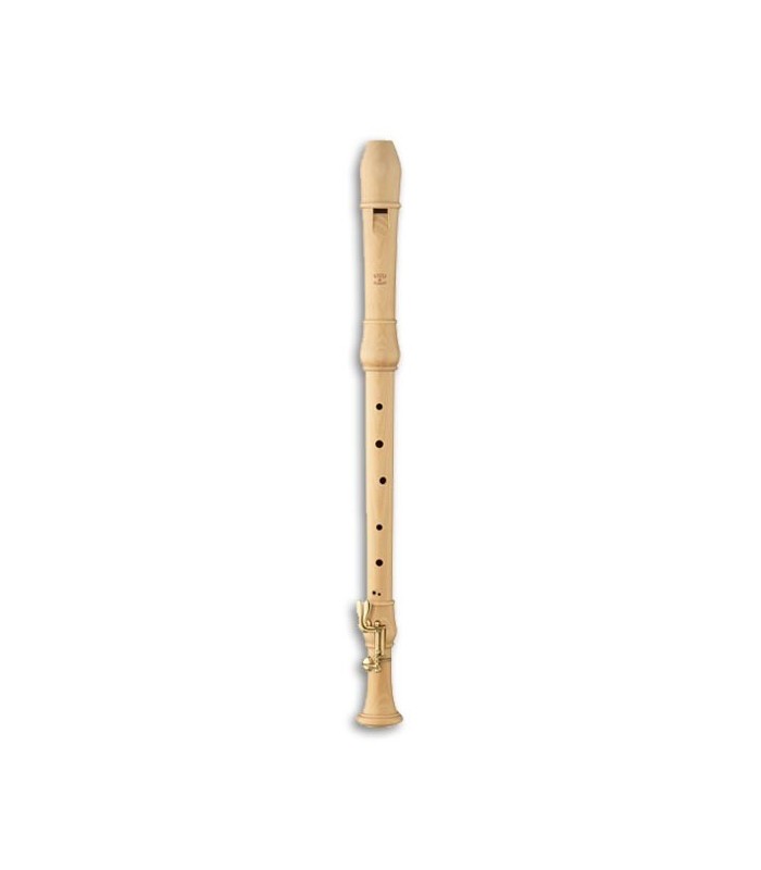 Moeck Recorder 2420 Rondo Tenor Maple Barroco