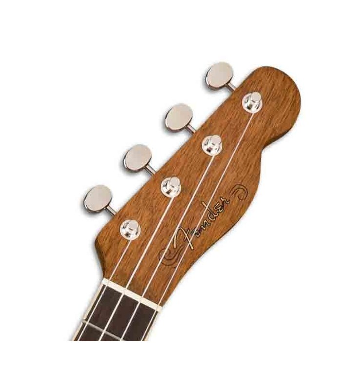 Head of ukulele concerto Fender Zuma