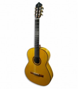 Flamenco Guitar APC 5F Spruce and Maple