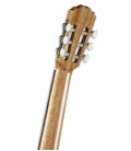 Photo of Alhambra Classical Guitar 1C EZ and preamp
