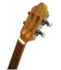 Head of cavaquinho APC 100