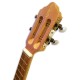 APC 101 Cavaquinho head