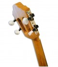 APC 101 Cavaquinho tuning machines
