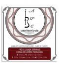APC Portuguese Guitar String Set CORGFLS Lisbon Model