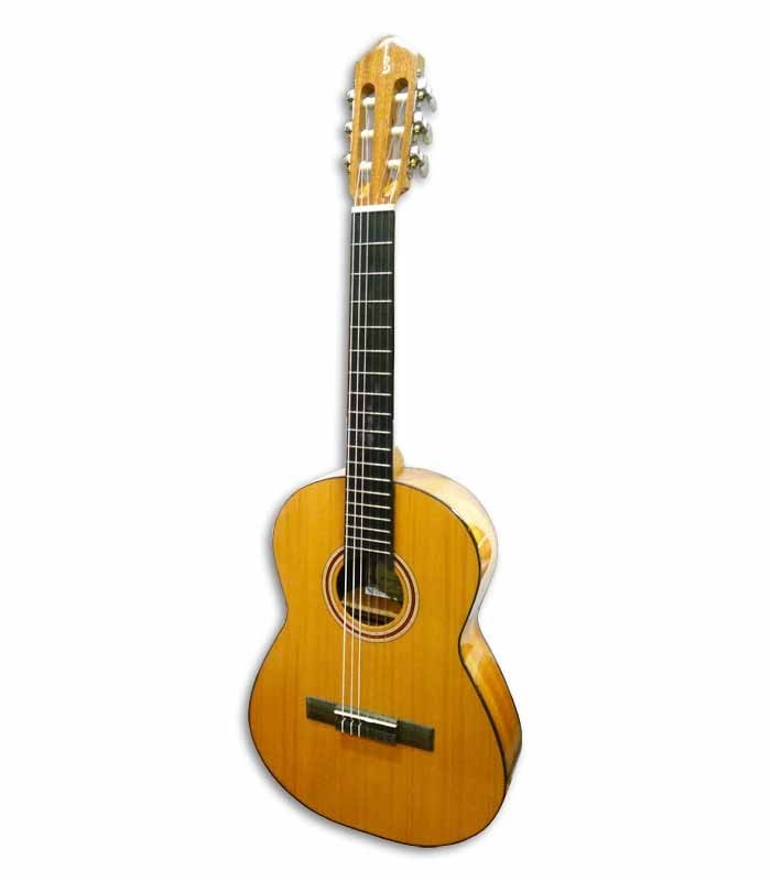 Photo of guitar APC 1C 3/4