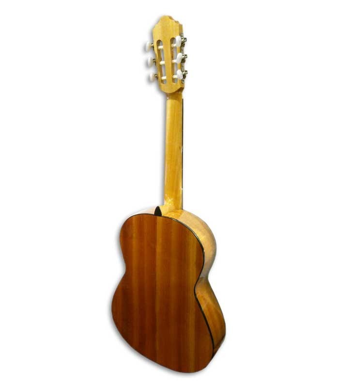 Back of guitar APC 1C 3/4