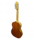 Photo of guitar APC 1C