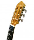Head of guitar APC 1C 3/4