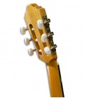 Tuning machines of guitar APC 1C 3/4