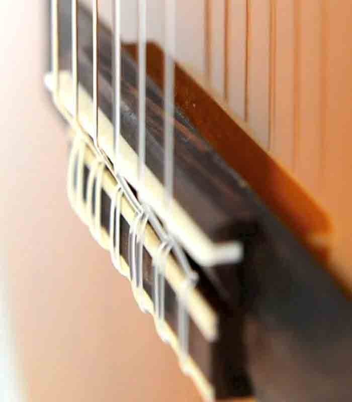 Yamaha Classical Guitar Pack C-40 with bag and Tuner