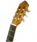 Head of guitar Yamaha C40
