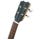 Head of ukulele APC CS