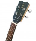 Head of ukulele APC CS