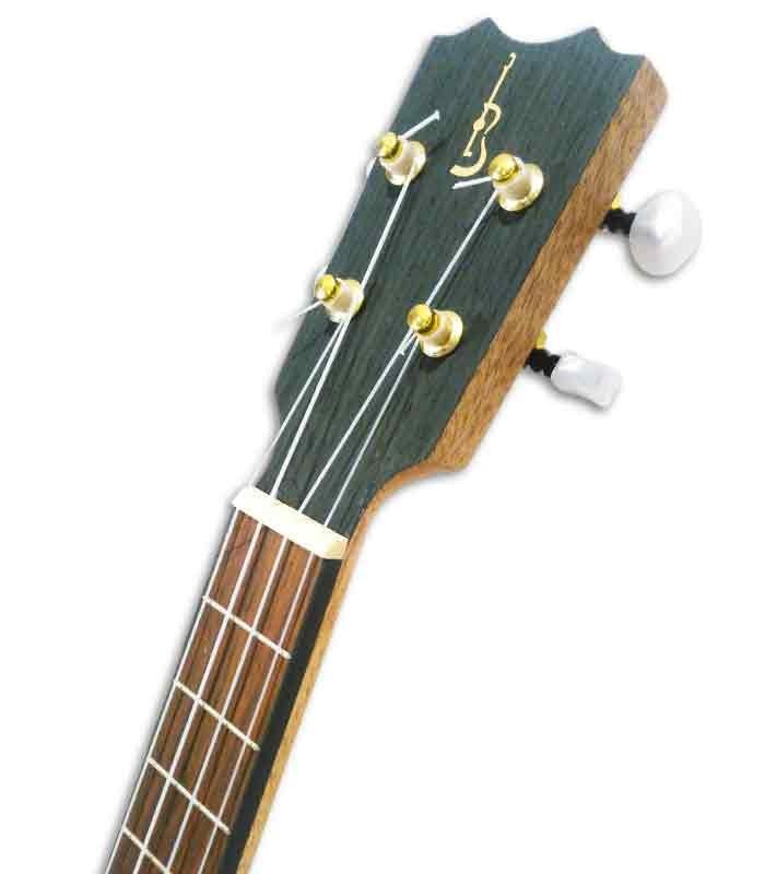 APC TT CW Ukulele head
