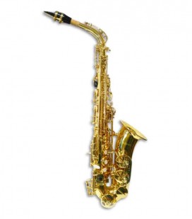 Alto Saxophone Sullivan SAXA200 F Sharp Treble with Case