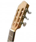 APC Classical Guitar GC C OP Cadete Simple Nylon