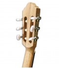 APC Classical Guitar GC C OP Cadete Simple Nylon