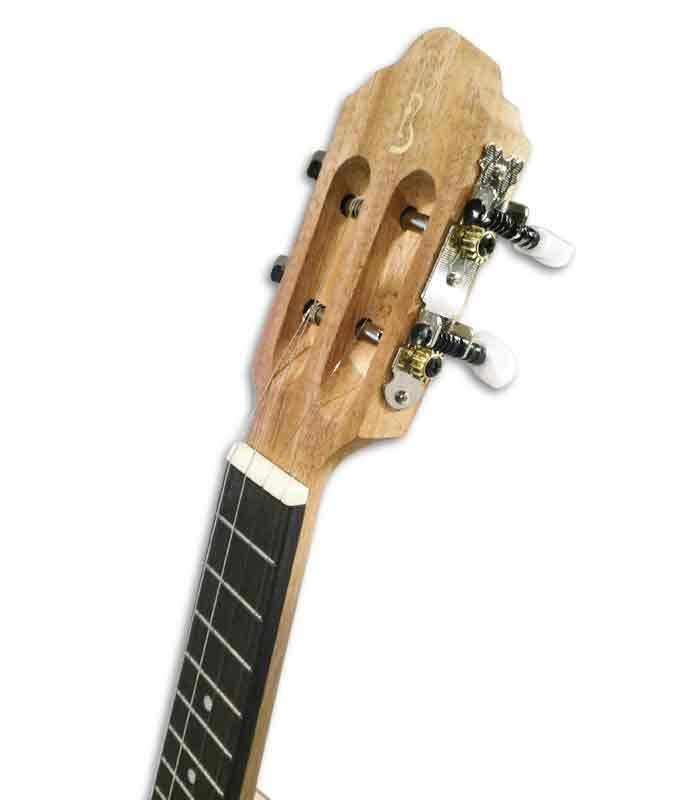 Head of brazilian cavaquinho APC BR110