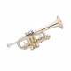 Photo of the John Packer Trumpet JP251SW