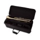 Photo of the John Packer Trumpet JP251SW open case
