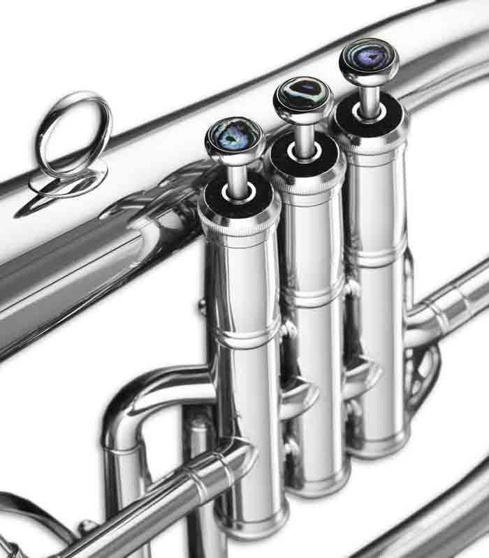 Photo detail of the John Packer Flugelhorn JP275SWS pistons