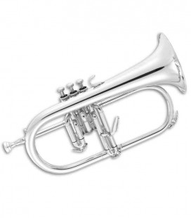 Photo of the John Packer Flugelhorn JP175S