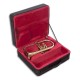 Photo of the John Packer Flugelhorn JP175 inside the case