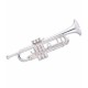 Photo of the John Packer Trumpet JP251SWRS